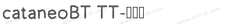 cataneoBT TT字体转换